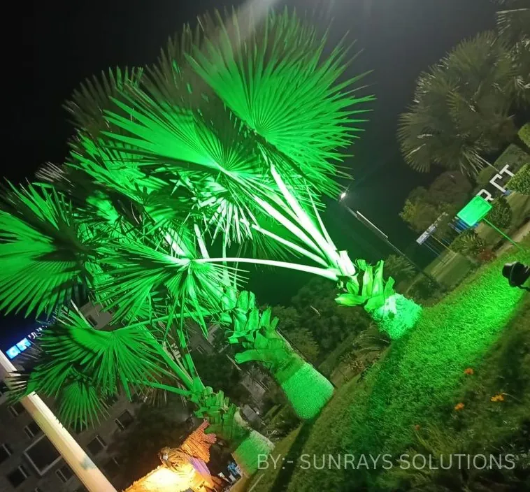 Garden Uplighting by Sunrays Solutions